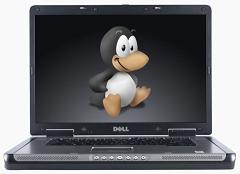 tux_dell_laptop_11