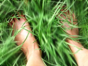 feet and grass