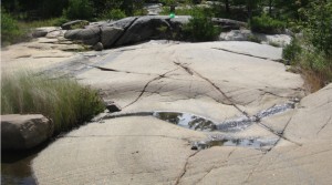 Image of rock with pool of water