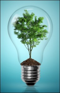 Photo of lightbulb with tree inside