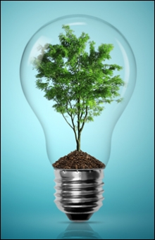 lightbulb_with_tree_220_wide_for_sidebar_0